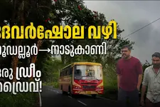 തേയിലത്തോട്ടങ്ങൾക്ക് നടുവിലൂടെ നാടുകാണി ചുരം വരെ ഒരു അടിപൊളി ഡ്രൈവ് | Gudalur to Nadukani