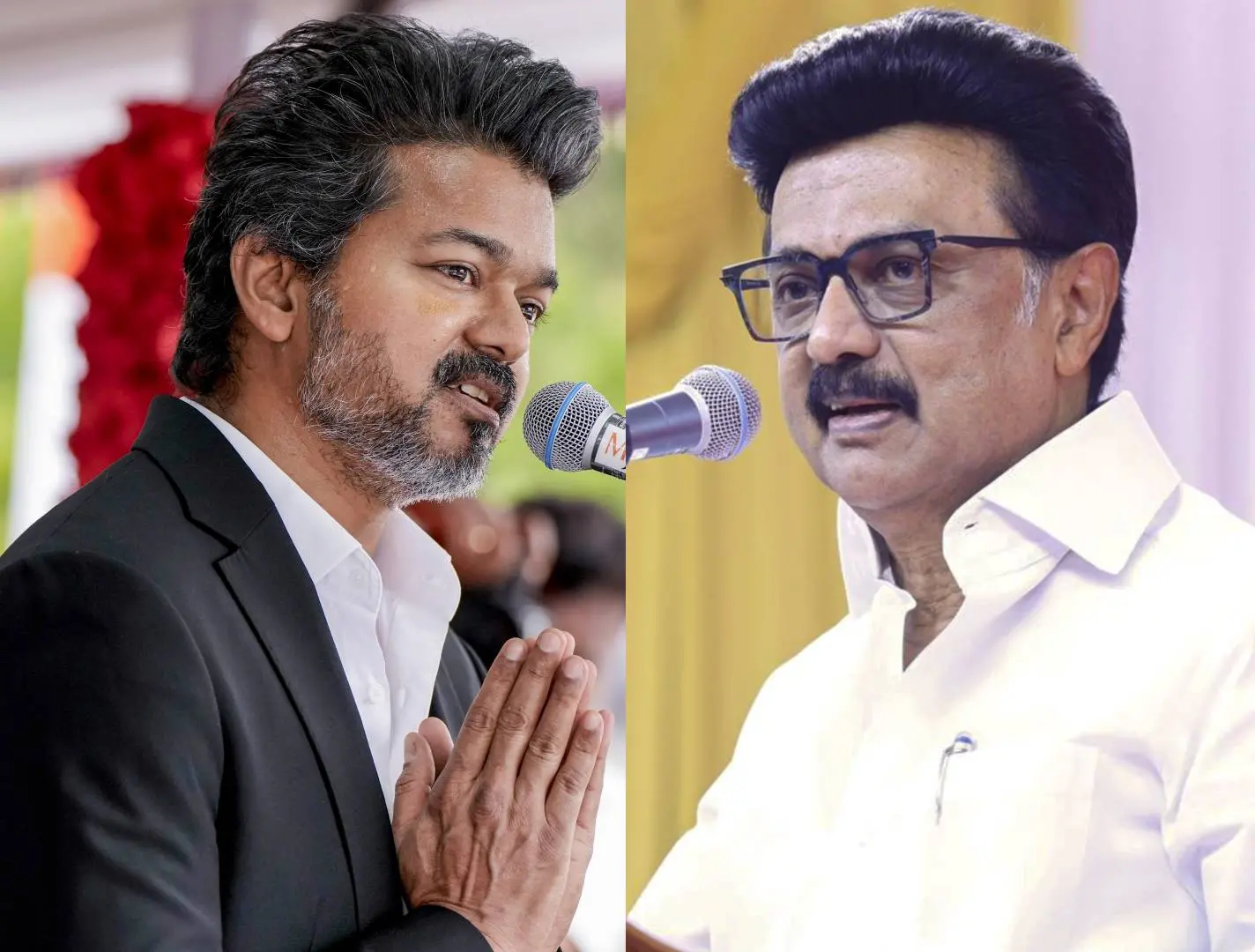 വിജയ്, സ്റ്റാലിൻ | Photo: PTI