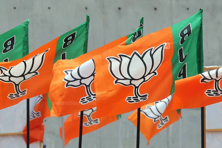 bjp flag