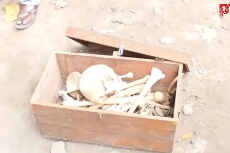 Skeleton Delhi scrap