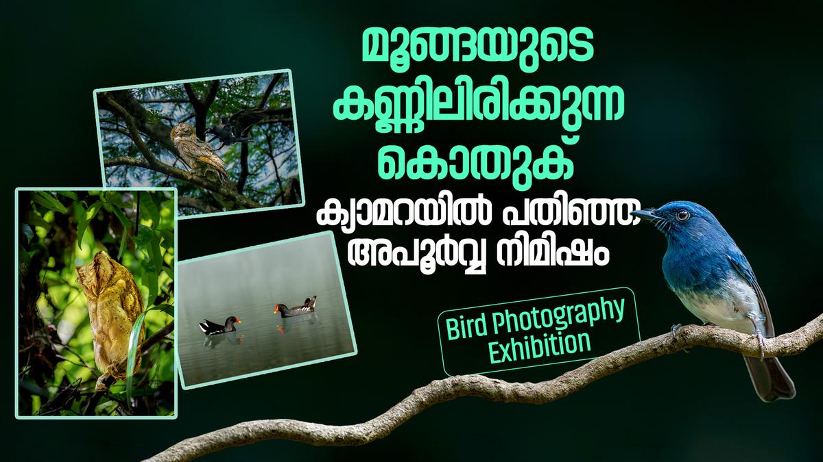 Induchoodan Foundation Bird Photography Exhibition in Ernakulam ...