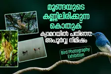 ഇന്ദുചൂഡന്റെ ഓർമ്മകളിൽ 'പറന്നുയരുന്ന മലയാളം' | Induchoodan Foundation Bird Photography Exhibition