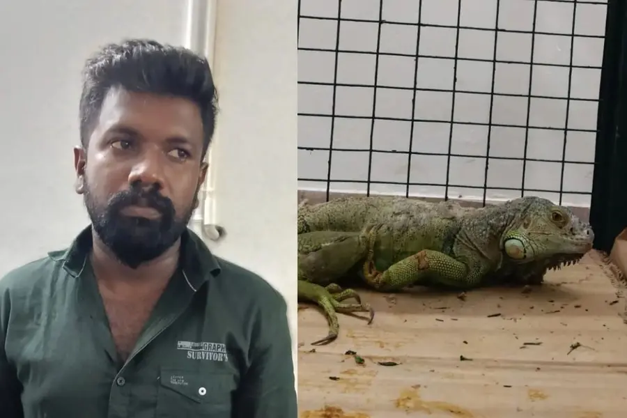 വ്യാജ സർട്ടിഫിക്കറ്റ് ചമച്ച് വിദേശ ഇഗ്വാനയെ വിൽപനയ്ക്കുവെച്ചു; യുവാവ് വനംവകുപ്പിന്റെ പിടിയിൽ