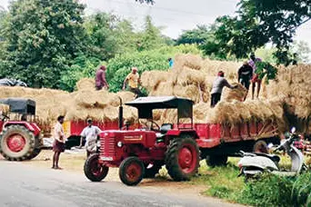 ഒന്നാംവിള വൈക്കോലിന് വൻ ഡിമാൻഡ്