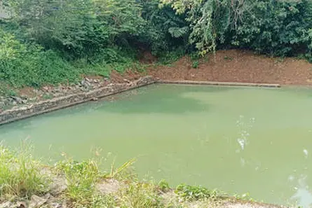 കൊടിക്കുന്ന് ക്ഷേത്രക്കുളം നവീകരണം പുനരാരംഭിക്കും