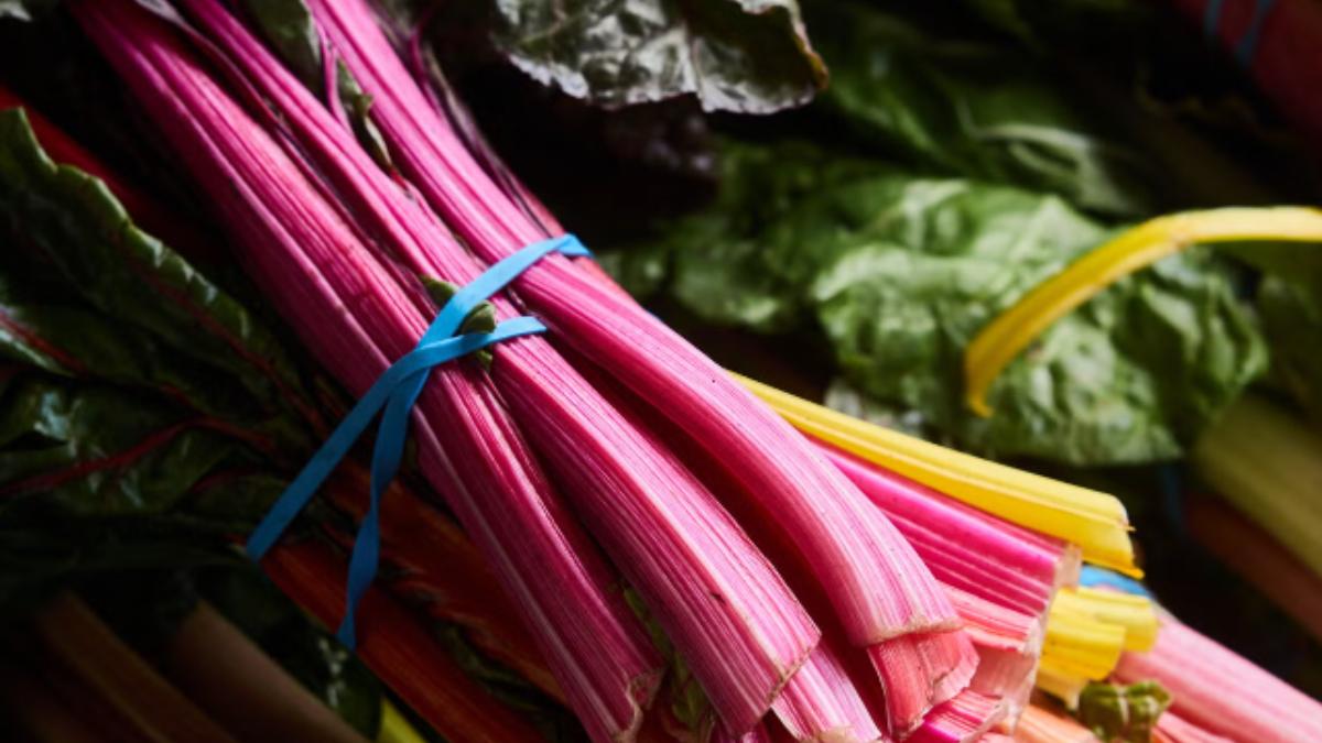 Beyond apples and pumpkins, the Fall produce nutritionists reach for