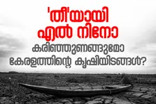 വരണ്ട ഇടവേളയും അതിതീവ്ര മഴയും; എൽ നിനോയെ നേരിടാൻ കേരളം ഒരുങ്ങേണ്ടത് എങ്ങനെ?