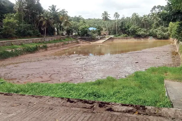 മത്സ്യക്കൃഷിയുടെ മറവിൽ ജലസമൃദ്ധമായ കുളം വറ്റിച്ചു