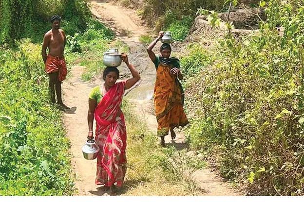 മനുഷ്യർക്കും മൃഗങ്ങൾക്കുംഒരേ കുഴിവെള്ളം