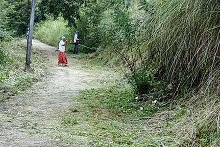 കാഴ്ച മറച്ച കാടുവെട്ടി... ആശ്വാസം...