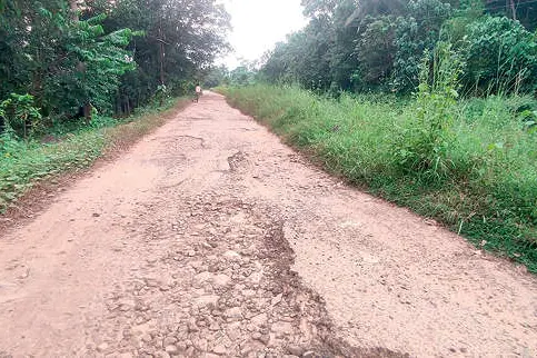 തകർന്നടിഞ്ഞ് വലതുകര കനാൽ റോഡ്