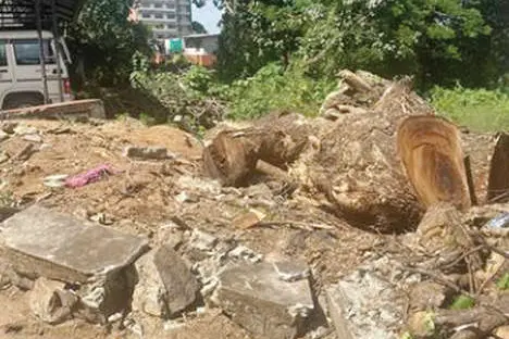 നഗരത്തിലെ തണൽമരങ്ങൾ മുറിക്കുന്നതിനെച്ചൊല്ലി വിവാദം