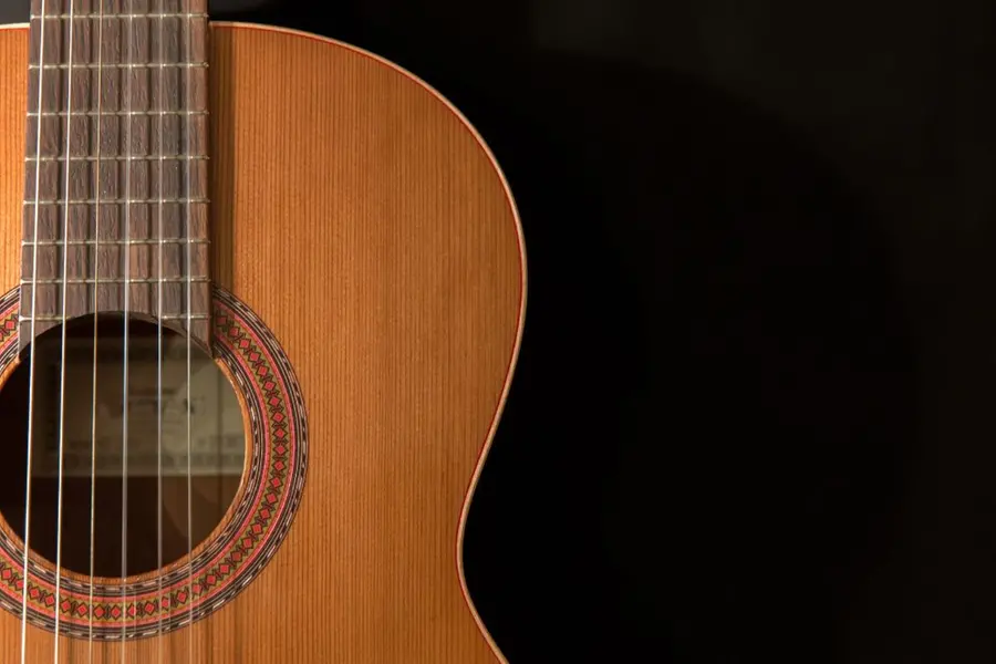 Guitar