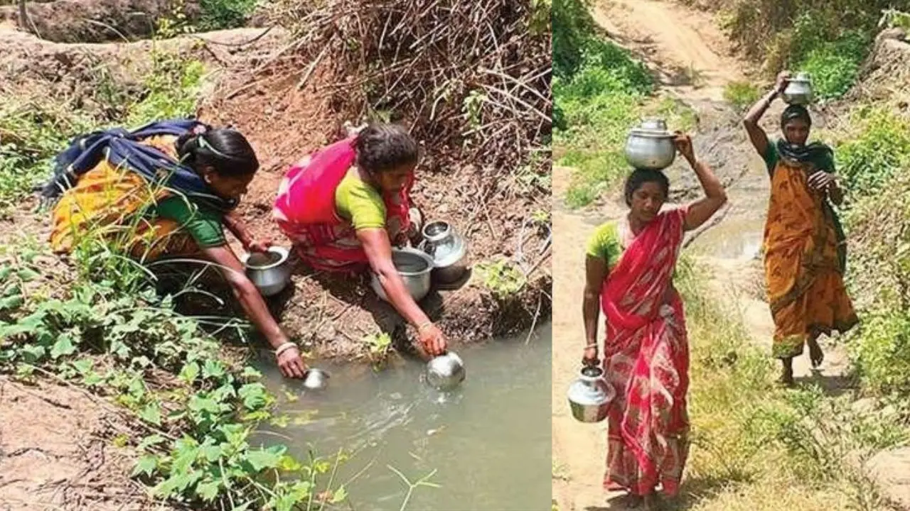 മാങ്ങാപ്പാറ കുടിക്ക് സമീപമുള്ള കുഴിയിൽനിന്ന് കുടിവെള്ളം ശേഖരിക്കുന്ന സ്ത്രീകൾ | കുഴിയിൽനിന്ന് ശേഖരിച്ച കുടിവെള്ളവുമായി കുടിയിലേക്ക് പോകുന്ന സ്ത്രീകൾ