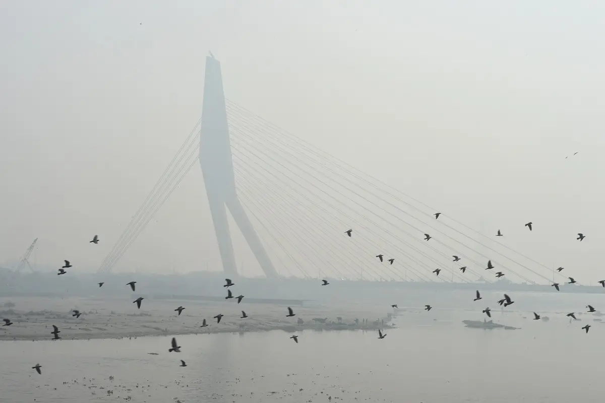 Birds fly in the backdrop of Signature bridge amid low visibility due to smog, in New Delhi | File photo: PTI