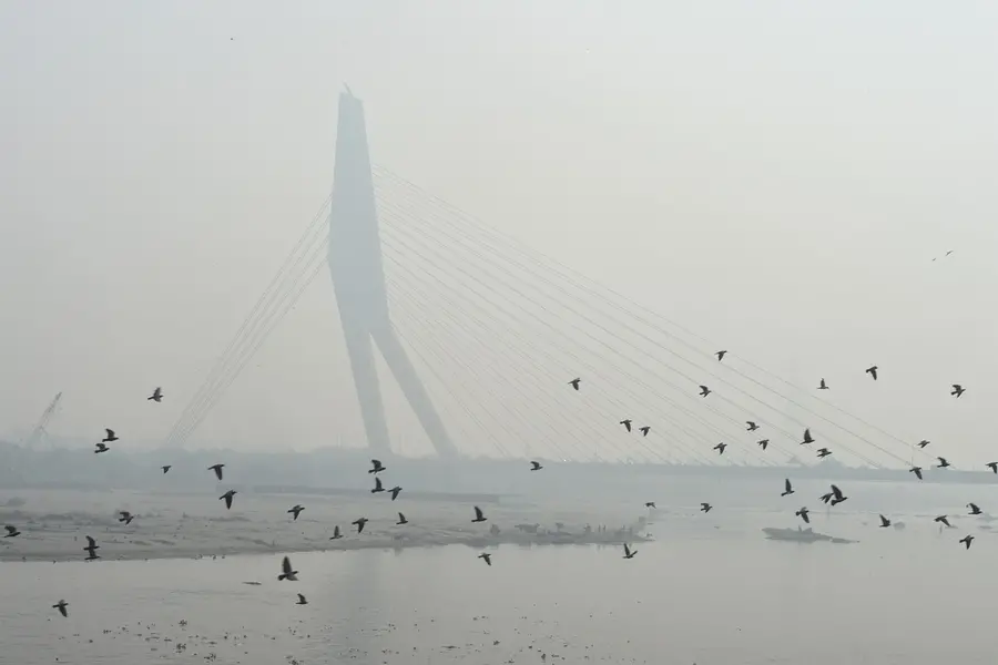 Birds fly in the backdrop of Signature bridge amid low visibility due to smog, in New Delhi