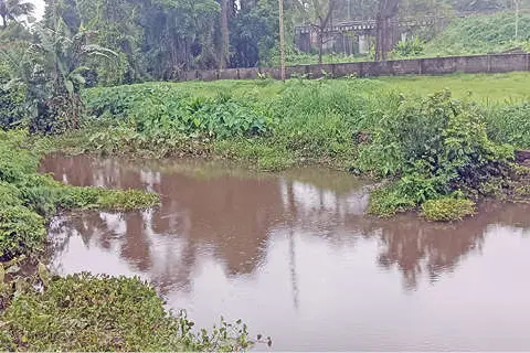 മഴമാറി ചൂടു വന്നു; തോടുകളിൽ നീരൊഴുക്കില്ല