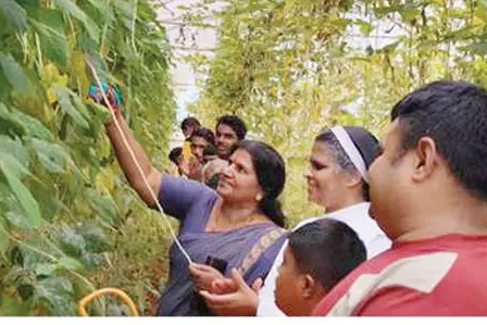 നട്ടു, നനച്ചു... അവർ വളർത്തി സ്വപ്നങ്ങൾ