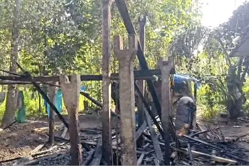 തൊഴുത്തിന് തീപിടിച്ച് പശുക്കുട്ടി ചത്തു