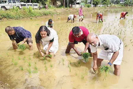 തരിശുനിലം നെൽവയലാക്കി കർഷകസംഘം