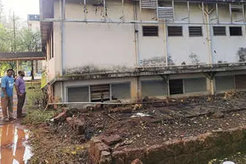 കളക്ടറേറ്റ് വളപ്പിലെ കെട്ടിടങ്ങളിലേക്ക് പടർന്നുകയറിയ കാടുകൾ വെട്ടിനീക്കിത്തുടങ്ങി