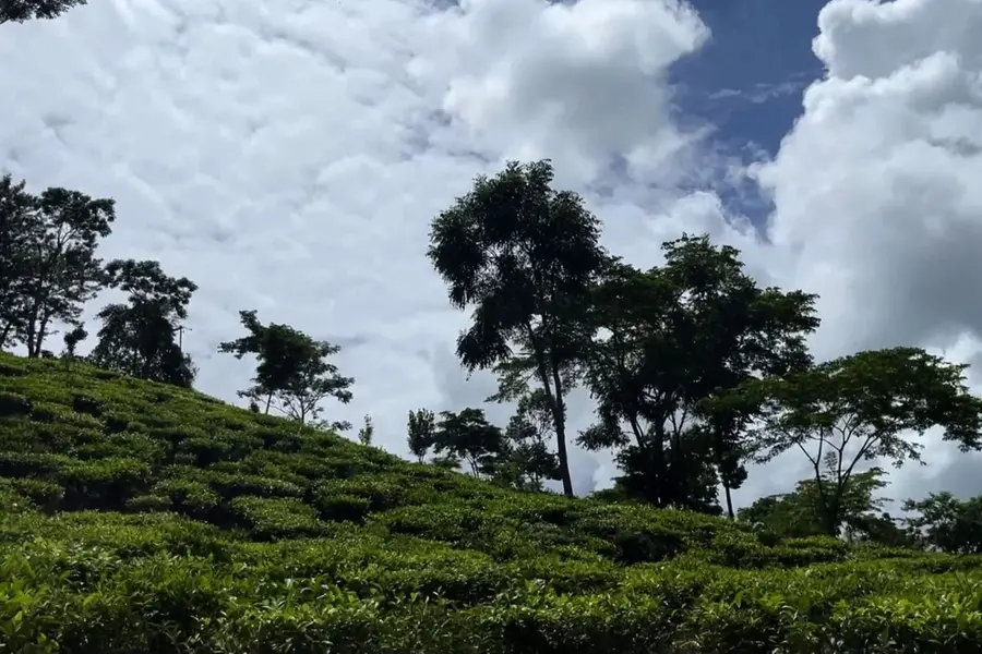മുളങ്കാട് നിറഞ്ഞ മലനിര, മേഘക്കൂട്ടങ്ങൾ, ഡ്രൈവർ സൈഡിൽ കരുതിവെച്ച വെട്ടുകത്തി