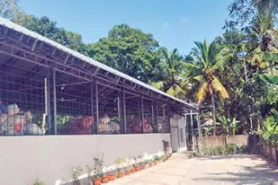 പുതിയ എം.സി.എഫ്. കെട്ടിടം നോക്കുകുത്തി