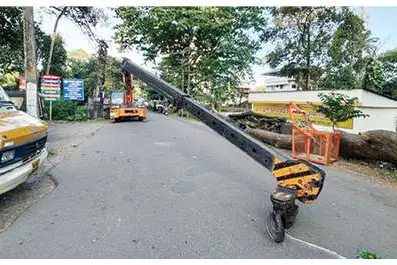അപകടമായി മരംമുറി