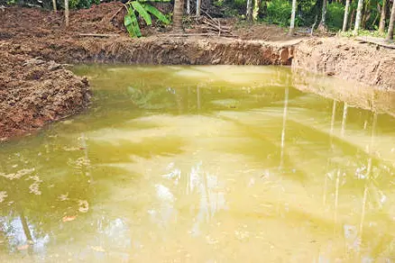 പ്രതിഷേധവുമായി നാട്ടുകാർ
