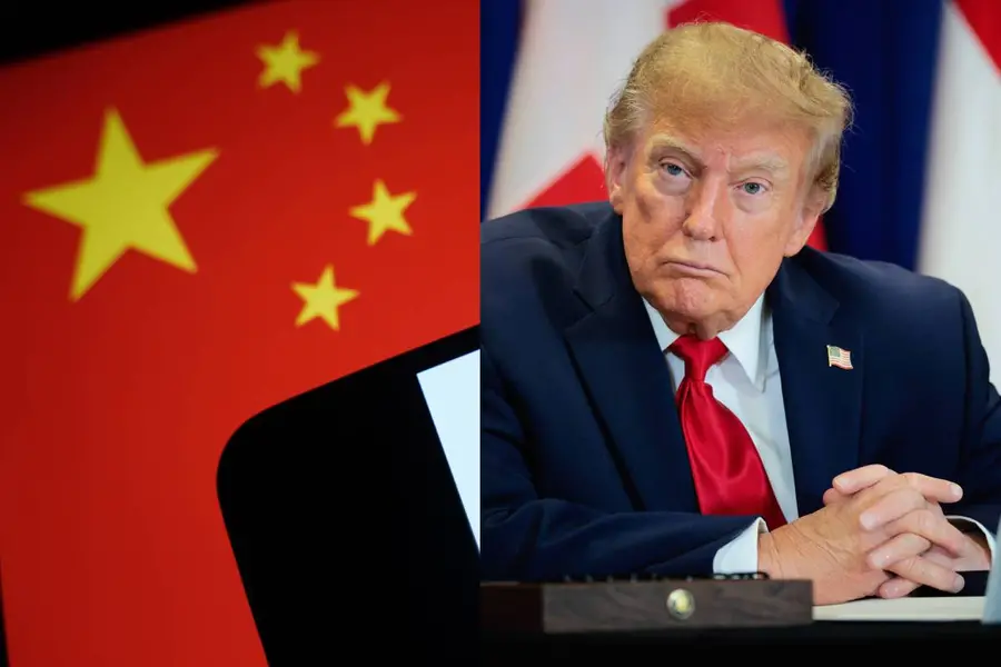 US-China AI Divide