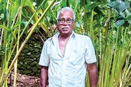 എഴുപത്തെട്ടിലും മണ്ണിനൊപ്പം; ദേവസ്യ ചേട്ടന്റെ കൃഷിജീവിതം