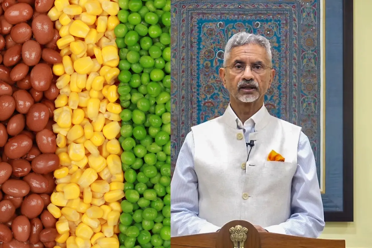 Pulses- Minister S. Jaishankar | Photos: Canva, PTI