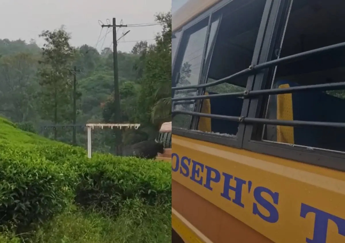 പോത്ത് കുത്തിയതിനെ തുടർന്ന് തകർന്ന ബസ്സിന്റെ ചില്ലുകൾ