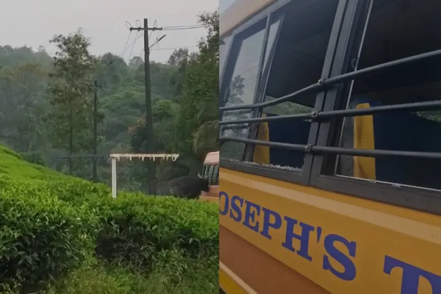 തലകൊണ്ട് കുത്തി സ്കൂൾ ബസിന്റെ ചില്ല് തകർത്ത് കാട്ടുപോത്ത്; ഡ്രൈവറുടെ സമയോചിത ഇടപെടലിൽ അപകടം ഒഴിവായി