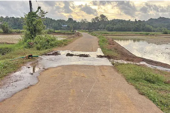 മഴയെത്തിയില്ലെങ്കിൽ നെൽകൃഷി നശിക്കും