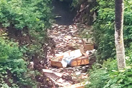 മല്ലപ്പള്ളി വലിയതോട് മാലിന്യവാഹിയായി