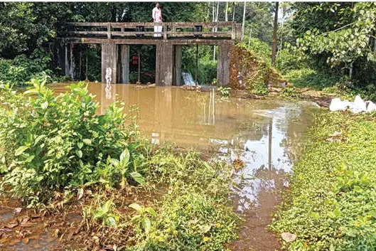 കനത്ത മഴയിൽ കുരമ്പാലയിൽ കൃഷിയിടം മുങ്ങി