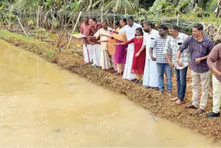 പ്രതീക്ഷ മഴയിൽ; വിത്തുവിതച്ച് കർഷകർ