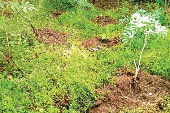 കർഷകർക്ക് ആശ്വാസം