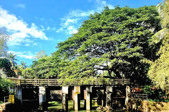 തലയും വാലുമില്ലാതെ തലക്കാട് വാലില്ലാപ്പുഴ ഷട്ടർ