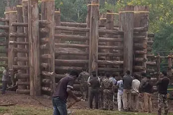 ഓപ്പറേഷൻ മഖ്ന നീണ്ടത് 23 മണിക്കൂർ