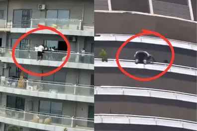 Man dies after 43rd-floor jump at Noida’s Supernova, body split into pieces