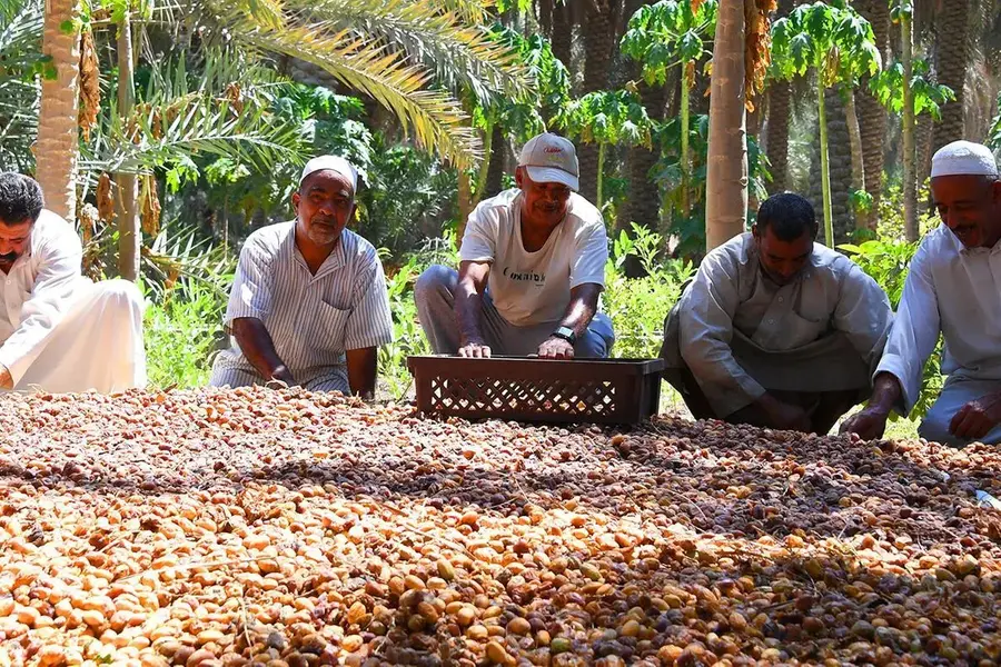 Date Exports