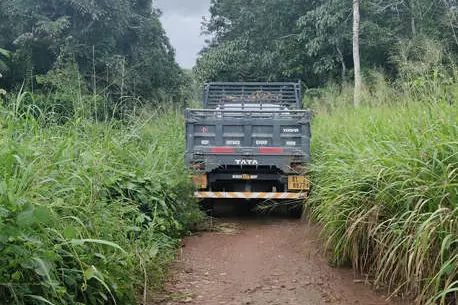 കനാൽ റോഡ്, കാടുകയറി തകർന്നുതരിപ്പണമായി
