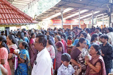 വെട്ടിക്കോട് നാഗരാജക്ഷേത്രത്തിൽ ഭക്തജനത്തിരക്കേറി; ഇന്ന് പുണർതം ഉത്സവം