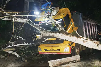 കിടങ്ങൂരിൽ വാകമരം കടപുഴകി വാഹനങ്ങൾക്ക് കേടുപാട്; ഗതാഗതം തടസ്സപ്പെട്ടു