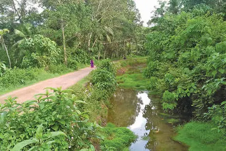ശ്രദ്ധയൊന്ന് പാളിയാൽ….അപകടക്കെണിയൊരുക്കി ചാനൽകര ബണ്ട് റോഡ്