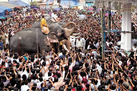ചെറിയപള്ളിയിൽ പെരുന്നാൾ കൊടിയിറങ്ങി കബർ വണങ്ങി കരിവീരന്മാർ