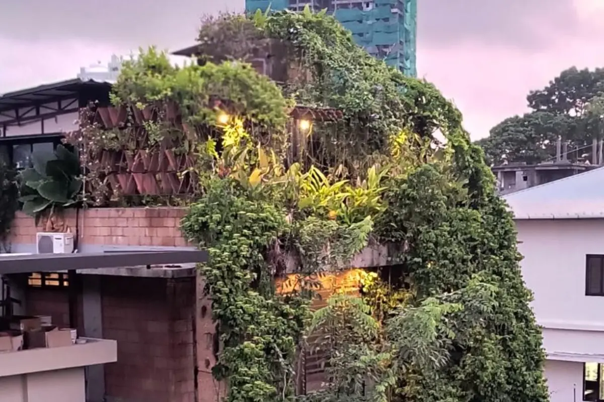 A compact urban home that brings a generous slice of nature into everyday living.