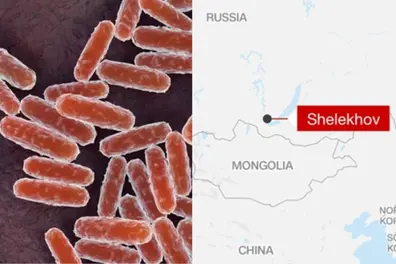 From ‘unknown pneumonia’ to ‘Russia virus’: How the Siberia scare spread online